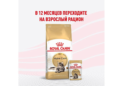 Royal Canin Breed Kitten Maine Coon Влажный корм (Консервы-Паучи) Роял Канин для Котят породы Мэйн Кун в возрасте до 15 месяцев (цена за упаковку) 85г х 28шт
