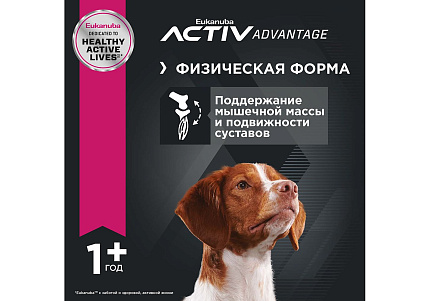 Eukanuba Adult Medium Breed Сухой корм Эукануба для взрослых собак Средних пород с Курицей 15 кг