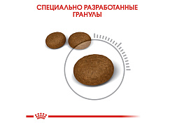 Royal Canin Hair & Skin Care Сухой корм Роял Канин Хэйр & Скин Кэа для кошек Здоровая кожа и шерсть 2 кг