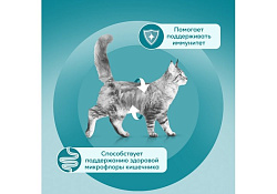 PURINA ONE STERILISED Влажный корм Паучи Пурина УАН для взрослых стерилизованных кошек с говядиной (цена за упаковку) 75г х 26шт