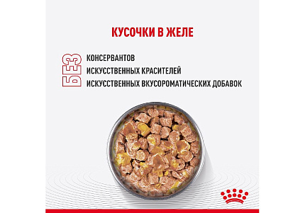Royal Canin Kitten Sterilised Jelly Влажный корм (Консервы-Паучи) Роял Канин Киттен Стерилайзд для Стерилизованных Котят в возрасте от 6 до 12 месяцев в Желе (цена за упаковку) 85г х 28шт