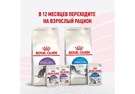 Royal Canin Kitten Sterilised Jelly Влажный корм (Консервы-Паучи) Роял Канин Киттен Стерилайзд для Стерилизованных Котят в возрасте от 6 до 12 месяцев в Желе (цена за упаковку) 85г х 28шт