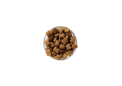 Eukanuba Adult Medium Breed Сухой корм Эукануба для взрослых собак Средних пород с Курицей 15 кг