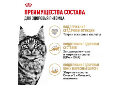 Royal Canin Breed cat Maine Coon Влажный корм (Консервы-Паучи) Роял Канин для кошек породы Мэйн Кун 85г х 28шт