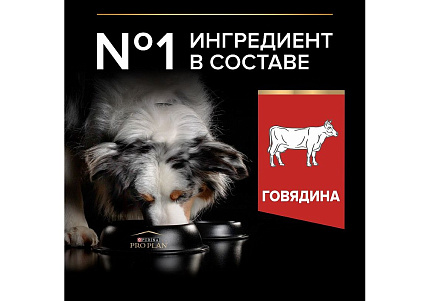 PRO PLAN DUO DELICE Сухой корм ПРО ПЛАН для взрослых собак средних и крупных пород с говядиной 2,5 кг