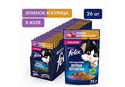 FELIX АППЕТИТНЫЕ КУСОЧКИ ДВОЙНАЯ ВКУСНЯТИНА Влажный корм Паучи Феликс Аппетитные кусочки для взрослых кошек с ягненком и курицей (цена за упаковку) 75г х 26шт