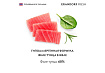 Grandorf Fresh Tuna In Jelly Консервы Грандорф для кошек Филе тунца в желе (цена за упаковку) 70 г х 6 шт