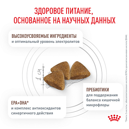 Сухой корм Royal Canin GASTROINTESTINAL (ГАСТРОИНТЕСТИНАЛ) 2 кг
