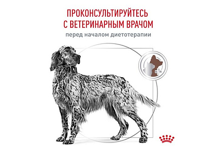 Royal Canin Gastro Intestinal GI25 Ветеринарный сухой корм Роял Канин Гастро Интестинал для взрослых собак при нарушении Пищеварения 15 кг