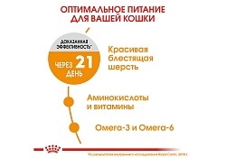 Royal Canin Hair & Skin Care Сухой корм Роял Канин Хэйр & Скин Кэа для кошек Здоровая кожа и шерсть 2 кг