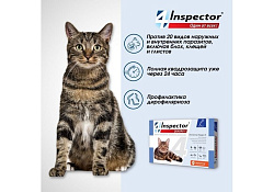 Inspector Quadro К Капли Инспектор от Внешних и Внутренних паразитов для кошек весом от 1 до 4 кг 1 шт