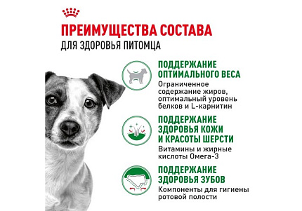 Royal Canin Mini Adult 8+ Сухой корм Роял Канин Мини для Пожилых собак Мелких пород старше 8 лет 4 кг