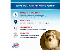 Cliny Паста Клини с ионами Серебра и витамином В5 для кошек для Вывода Шерсти со вкусом Лосося 30 мл