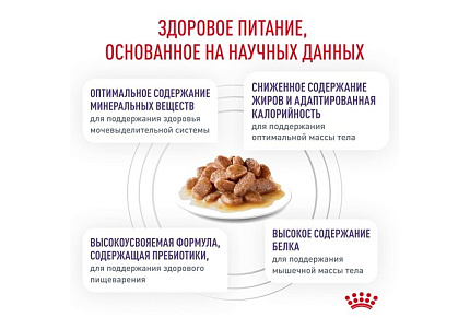 Royal Canin Neutered Balance Ветеринарный влажный корм (Консервы-Паучи) Роял Канин Ньютеред Баланс для Кастрированных котов и Стерилизованных кошек Склонных к полноте (цена за упаковку) 85г х 28шт