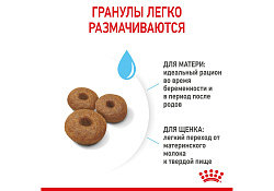 Royal Canin Maxi Starter Сухой корм Роял Канин Макси Стартер для Щенков Крупных пород до 2 месяцев 4 кг