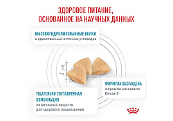 Royal Canin Hypoallergenic DR25 Ветеринарный сухой корм Роял Канин Гипоаллергенный для кошек Пищевая аллергия и непереносимость 350 г