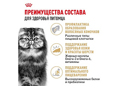 Royal Canin Breed cat British Shorthair Влажный корм (Консервы-Паучи) Роял Канин для кошек породы Британская короткошерстная 85г х 28шт