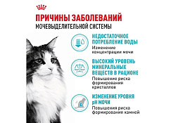 Royal Canin Urinary Care Сухой корм Роял Канин Уринари Кэа для кошек Профилактика Мочекаменных болезней 2 кг