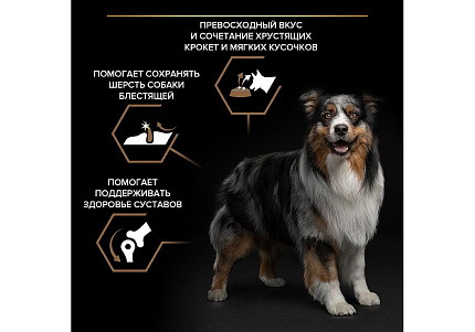 PRO PLAN DUO DELICE Сухой корм ПРО ПЛАН для взрослых собак средних и крупных пород с говядиной 10 кг