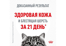 Royal Canin Hair & Skin Care Jelly Влажный корм (Консервы-Паучи) Роял Канин Хэйр & Скин Кэа для кошек Здоровая кожа и шерсть в Желе (цена за упаковку) 85г х 28шт