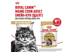 Royal Canin Breed cat Maine Coon Влажный корм (Консервы-Паучи) Роял Канин для кошек породы Мэйн Кун 85г х 28шт