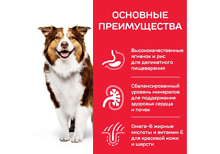 Hills Science Plan Mature Adult 7+ Medium Lamb & Rice Сухой корм Хиллс для собак Средних пород старше 7 лет Ягненок с рисом 2,5 кг