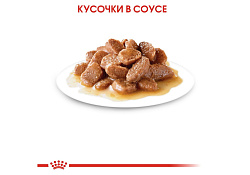 Royal Canin Instinctive Влажный корм (Консервы-Паучи) Роял Канин Инстинктив для Взрослых кошек старше 1 года в Соусе (цена за упаковку) 85г х 28шт