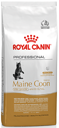 Maine Coon Kitten для котят породы Мейн-кун до 15 месяцев, 14 кг