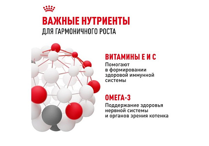 Royal Canin Kitten Instinctive Влажный корм (Консервы-Паучи) Роял Канин Киттен Инстинктив для Котят в возрасте от 4 до 12 месяцев в Соусе (цена за упаковку) 85г х 28шт