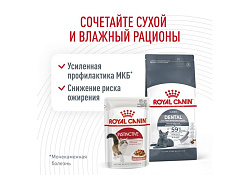 Royal Canin Dental Care Сухой корм Роял Канин Дентал Кэа для кошек Уход за полостью рта Чистка зубов 1,5 кг