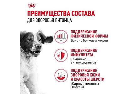 Royal Canin Medium Adult Сухой корм Роял Канин Медиум Эдалт для Взрослых собак Средних пород в возрасте от 1 года до 7 лет 15 кг
