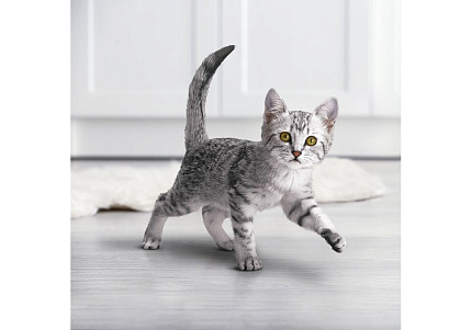 PURINA ONE KITTEN Сухой корм Пурина УАН для котят с курицей 200 г