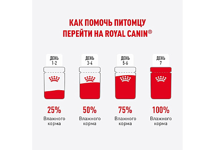 Royal Canin Kitten Sterilised Jelly Влажный корм (Консервы-Паучи) Роял Канин Киттен Стерилайзд для Стерилизованных Котят в возрасте от 6 до 12 месяцев в Желе (цена за упаковку) 85г х 28шт