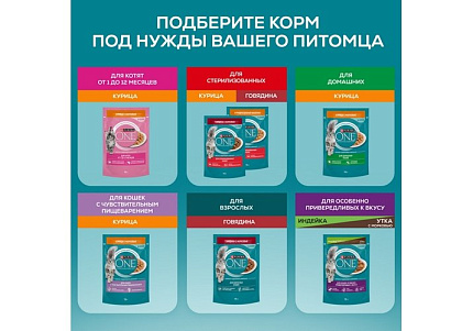 PURINA ONE KITTEN Влажный корм Паучи Пурина УАН для котят с курицей (цена за упаковку) 75г х 26шт