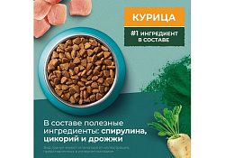 PURINA ONE SUPERFOOD Сухой корм Пурина УАН для взрослых кошек с курицей 680 г