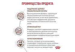 Royal Canin Kitten Gastrointestinal Ветеринарный сухой корм Роял Канин Гастроинтестинал для Котят от 2 до 10 месяцев при Нарушениях пищеварения 2 кг