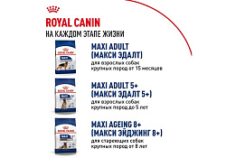 Royal Canin Maxi Puppy Сухой корм Роял Канин Макси Паппи для Щенков Крупных пород в возрасте от 2 до 15 месяцев 15 кг