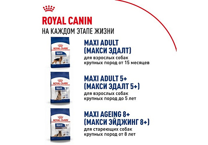 Royal Canin Maxi Puppy Сухой корм Роял Канин Макси Паппи для Щенков Крупных пород в возрасте от 2 до 15 месяцев 3 кг