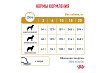 Royal Canin Urinary S O LP18 2 кг