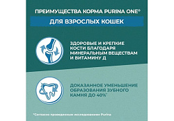 PURINA ONE SUPERFOOD Сухой корм Пурина УАН для взрослых кошек с индейкой и спирулиной 680 г