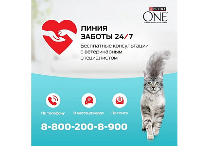 PURINA ONE Влажный корм Паучи Пурина УАН для кошек особенно привередливых к вкусу индейка утка с морковью (цена за упаковку) 75г х 26шт