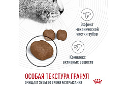 Royal Canin Dental Care Сухой корм Роял Канин Дентал Кэа для кошек Уход за полостью рта Чистка зубов 1,5 кг