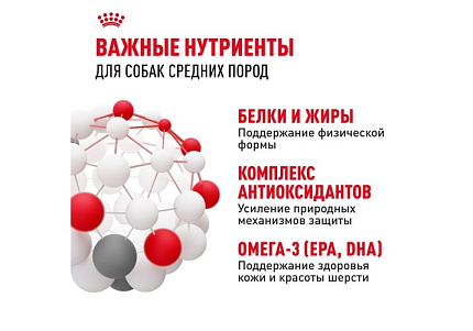 Royal Canin Medium Adult Сухой корм Роял Канин Медиум Эдалт для Взрослых собак Средних пород в возрасте от 1 года до 7 лет 15 кг