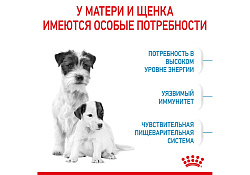 Royal Canin Mini Starter Сухой корм Роял Канин Мини Стартер для Щенков Мелких пород в возрасте до 2 месяцев 3 кг