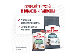 Royal Canin Hairball Care Сухой корм Роял Канин Хэйрбол Кэа для кошек Вывод волосяных комочков 2 кг