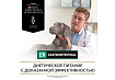 PRO PLAN VETERINARY DIETS EN GASTROINTESTINAL Лечебные консервы ПРО ПЛАН Ветеринарная диета для взрослых собак при расстройствах пищеварения (цена за упаковку) 400г x 12шт