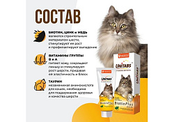 Unitabs BiotinPlus с Q10 paste Витаминно-минеральная паста Юнитабс для кошек с Биотином и Таурином 120 мл