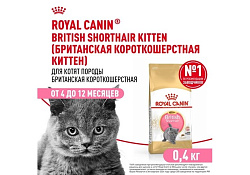 Royal Canin Breed cat Kitten British Shorthair Сухой корм Роял Канин для Котят породы Британская короткошерстная в возрасте от 4 до 12 месяцев 400 г