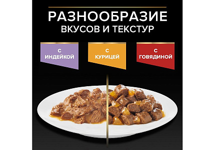 PRO PLAN KITTEN Влажный корм Паучи ПРО ПЛАН для котят с курицей в желе (цена за упаковку) 85г х 26шт