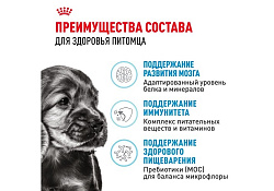 Royal Canin Mini Puppy Сухой корм Роял Канин Мини Паппи для Щенков Мелких пород в возрасте от 2 до 10 месяцев 4 кг
